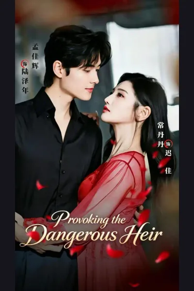Affiche de Provoking the Dangerous Heir