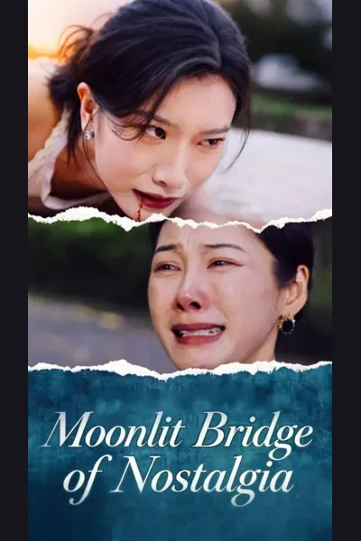 Póster de Moonlit Bridge of Nostalgia