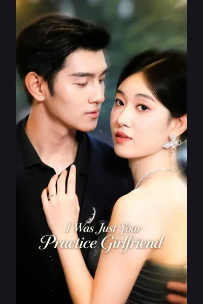 Póster de I Was Just Your Practice Girlfriend