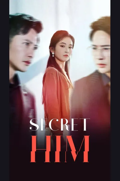 Secret Him poster