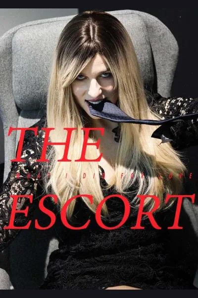 Póster de The Escort