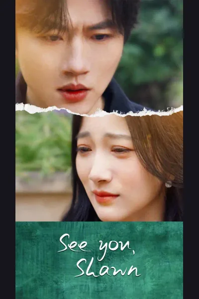 See you, Shawn poster