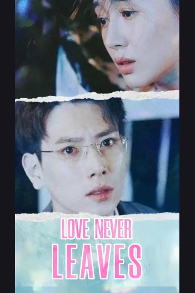 Póster de Love Never Leaves