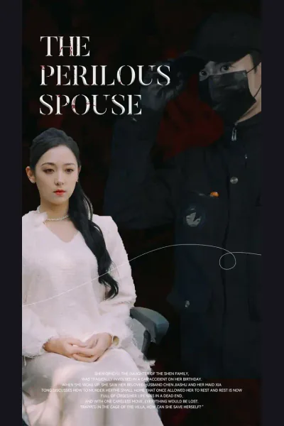 Affiche de The Perilous Spouse