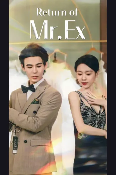 Póster de Return of Mr. Ex