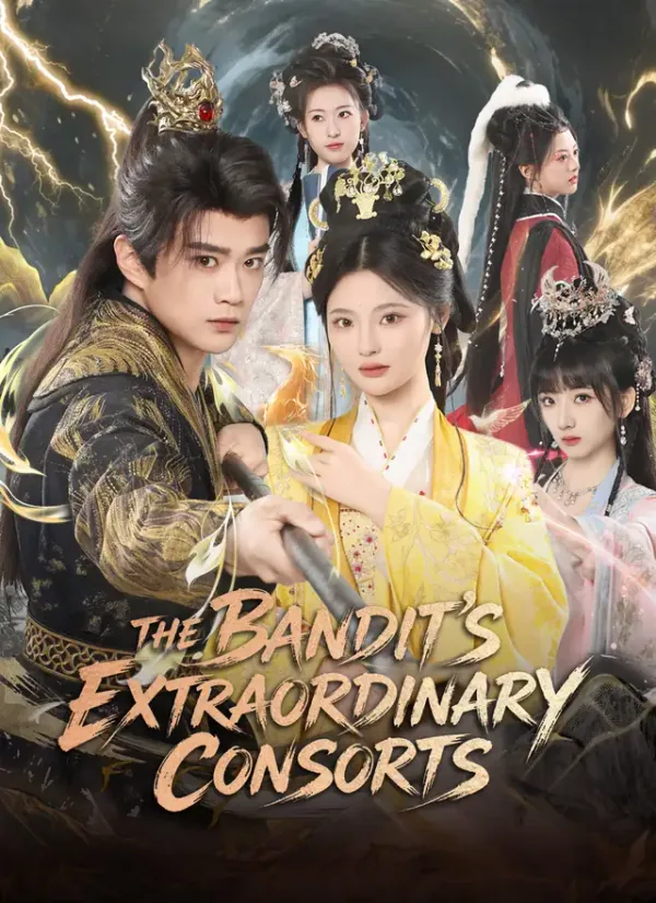 Affiche de The Bandit's Extraordinary Consorts